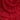rose detail Halter neck party crop top with pant set-Red/Black