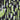abstract printed front zip up halter neck crop top with matching slit detail skirt set-Multi