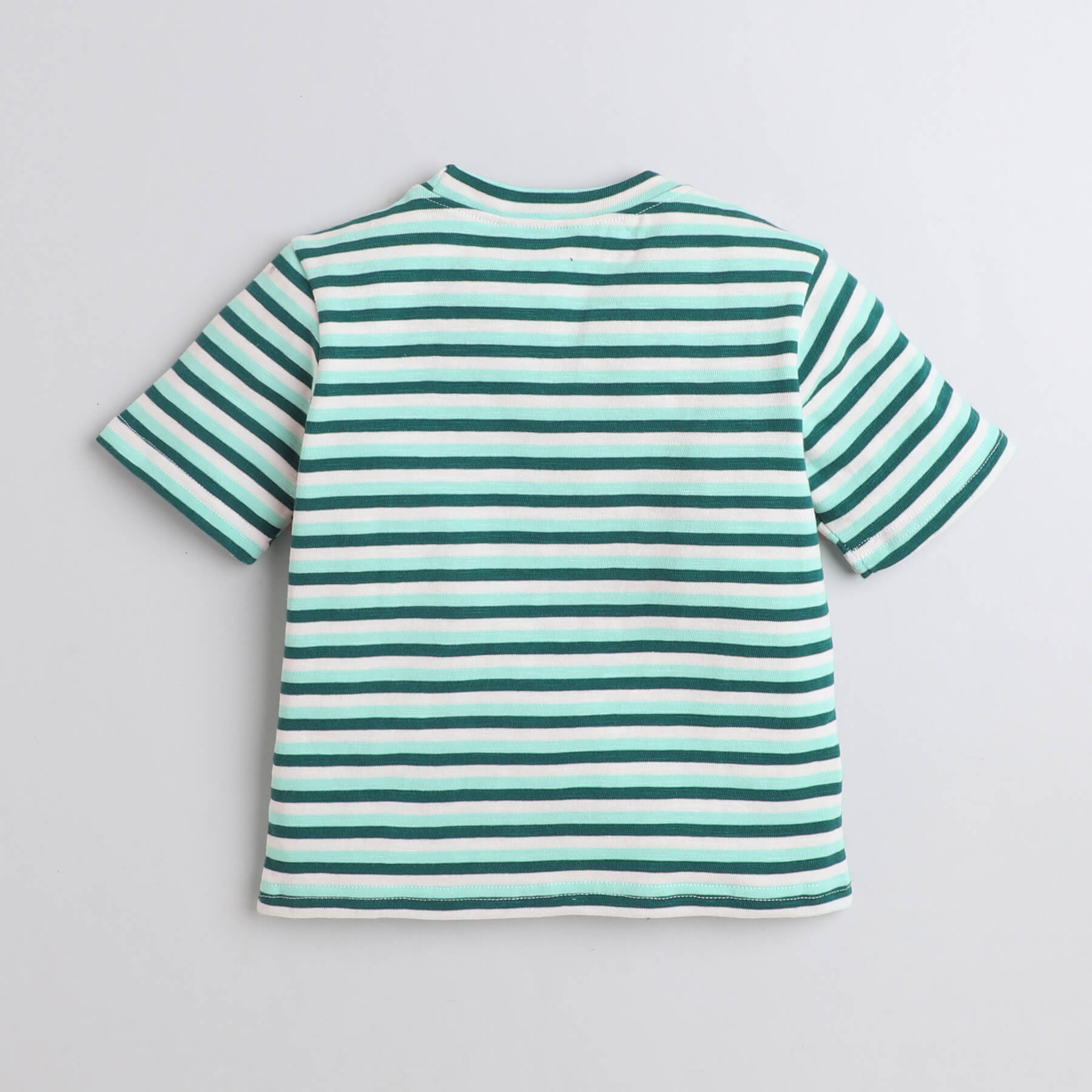 stripes full sleeves t-shirt-Green/White