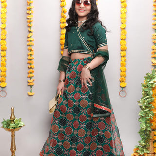lace detail wrap ethnic choli and printed organza lehenga set with dupatta-Green