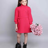 textured high neck full sleeves A-line dress with belt-Pink