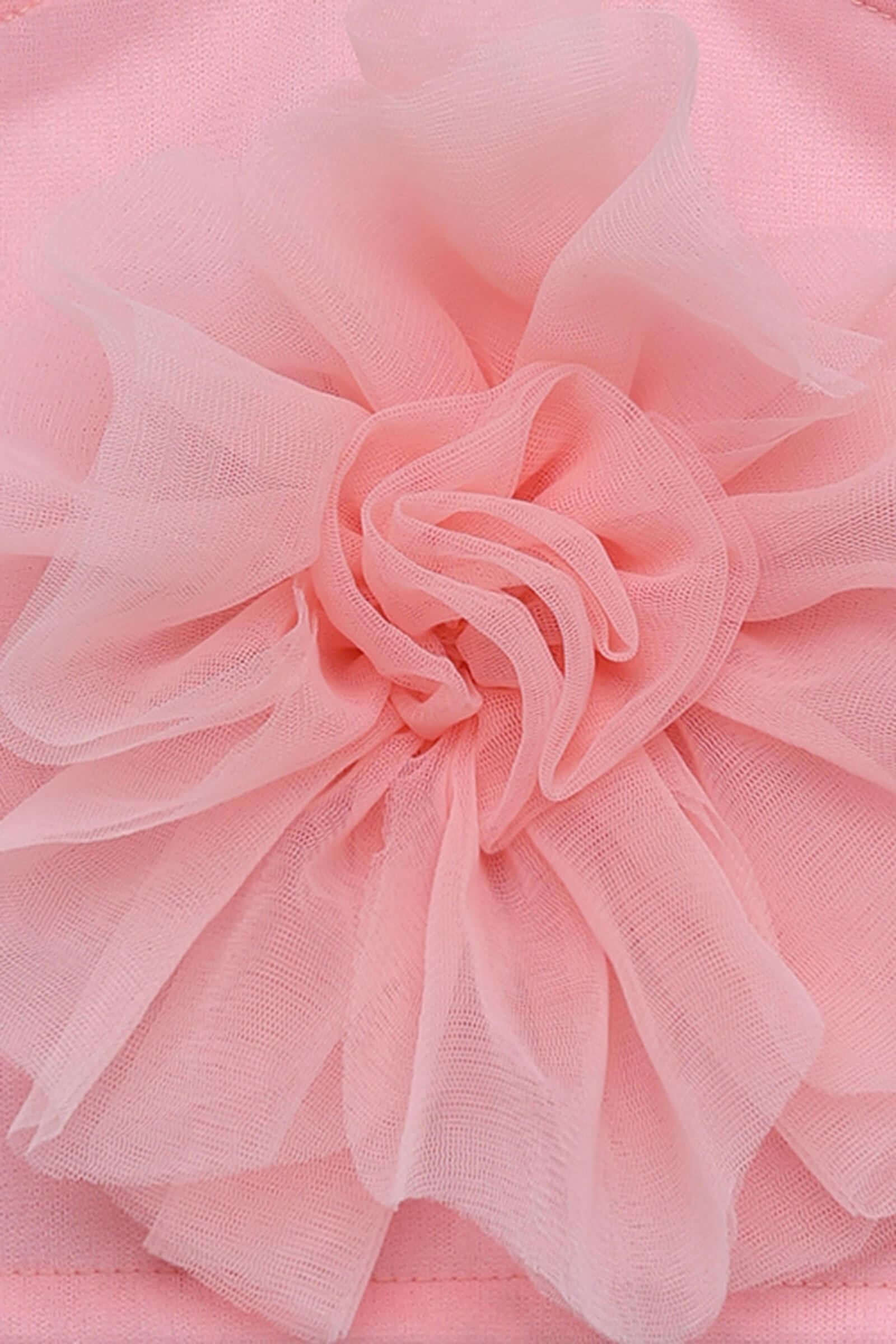 Net knit sleeveless rose applique Party crop top-Peach